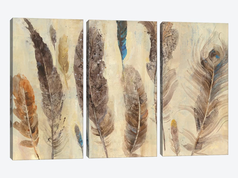 Feather Study by Albena Hristova 3-piece Art Print