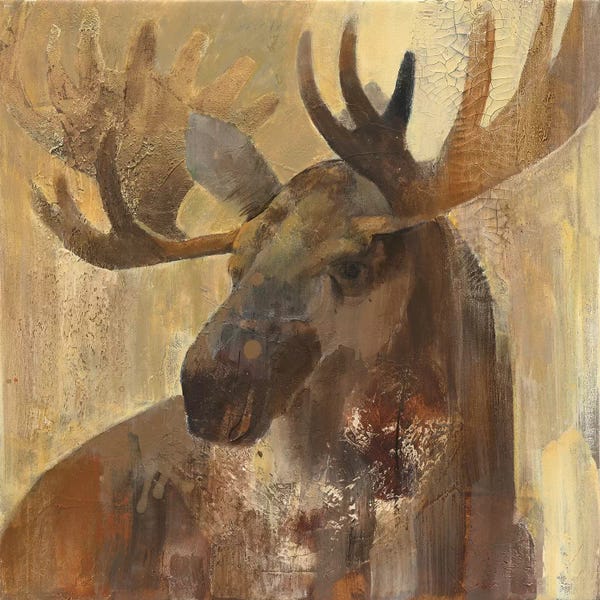 Deer: Into The Wild II by Albena Hristova