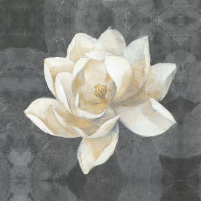 Majestic Magnolia by Albena Hristova canvas print