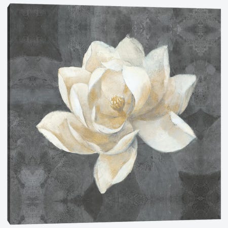 Majestic Magnolia Canvas Print #WAC4379} by Albena Hristova Canvas Print