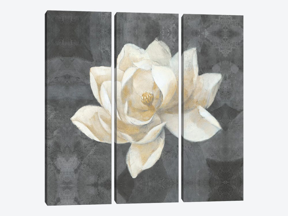 Majestic Magnolia by Albena Hristova 3-piece Canvas Artwork