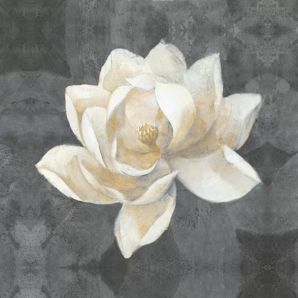 Floral Close-Ups: Majestic Magnolia by Albena Hristova