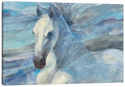 Poseidon Canvas Art Print - Horse Art