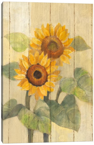 Summer Sunflowers I Canvas Art Print - Large Art for Kitchen