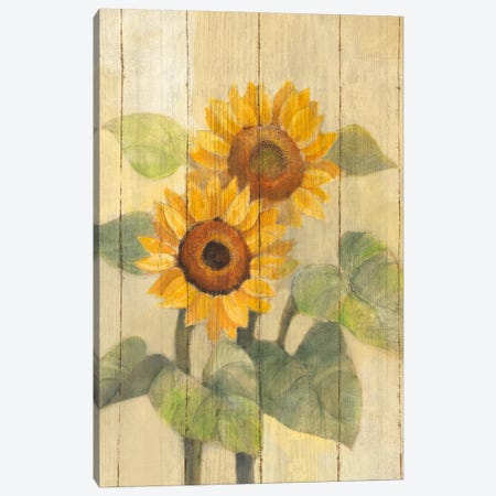 Summer Sunflowers I Canvas Print #WAC4385} by Albena Hristova Art Print