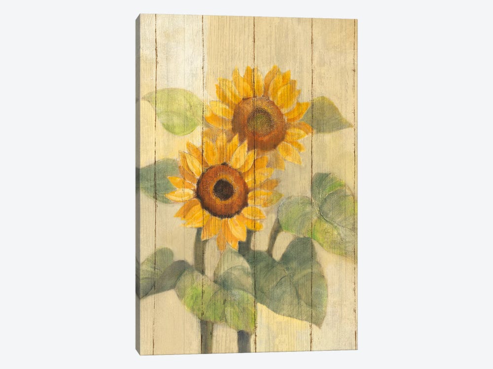 Summer Sunflowers I by Albena Hristova 1-piece Canvas Print