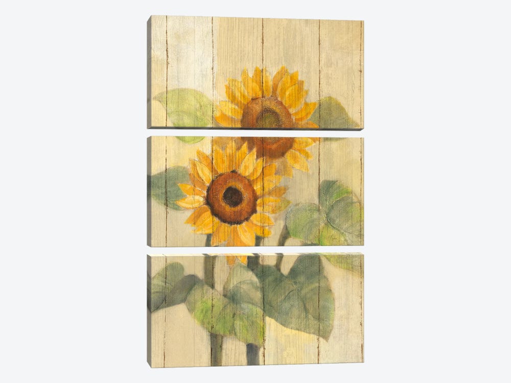 Summer Sunflowers I 3-piece Art Print