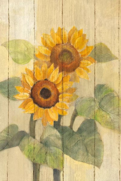 Albena Hristova: Summer Sunflowers I by Albena Hristova
