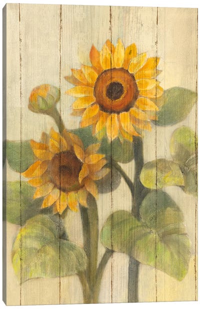 Summer Sunflowers II Canvas Art Print - Modern Farmhouse Bedroom Art