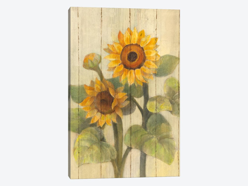 Summer Sunflowers II by Albena Hristova 1-piece Canvas Artwork