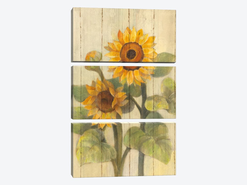 Summer Sunflowers II by Albena Hristova 3-piece Canvas Wall Art