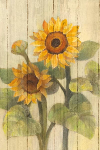 Modern Farmhouse Décor: Summer Sunflowers II by Albena Hristova