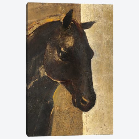 Trojan Horse I.A Canvas Print #WAC4392} by Albena Hristova Canvas Print