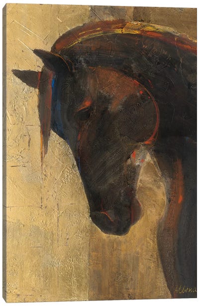 Trojan Horse II Canvas Art Print - Horse Art