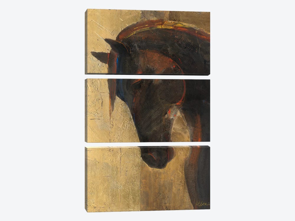 Trojan Horse II by Albena Hristova 3-piece Canvas Art