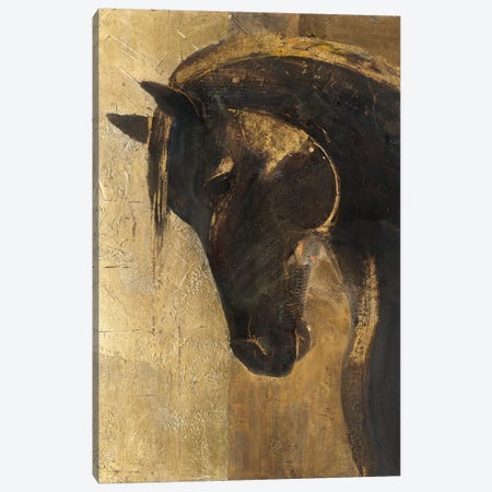 Trojan Horse II.A Canvas Print #WAC4394} by Albena Hristova Canvas Artwork