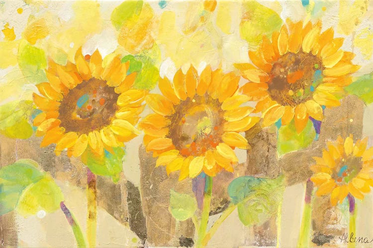 Turn To The Sun by Albena Hristova canvas print