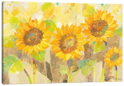 Turn To The Sun Canvas Art Print - Sunflower Art