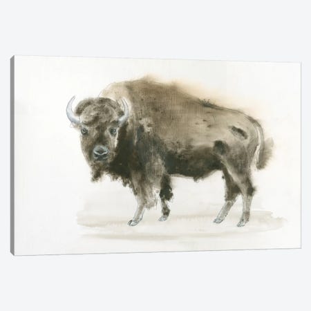 Buffalo Bill Canvas Print #WAC4424} by James Wiens Canvas Wall Art
