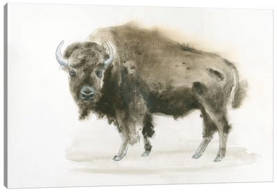Buffalo Bill Canvas Art Print - Neutral Suede