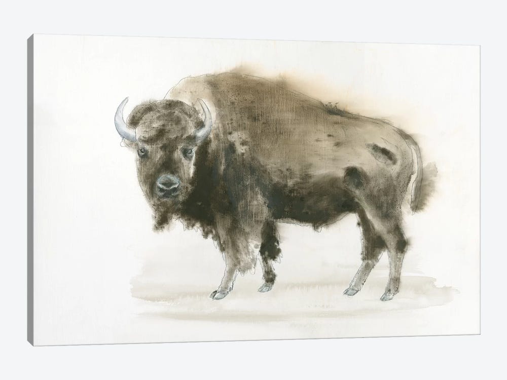 Buffalo Bill 1-piece Canvas Art Print