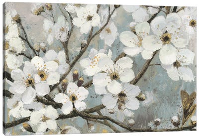 Cherry Blossoms I Canvas Art Print - Traditional Living Room Art
