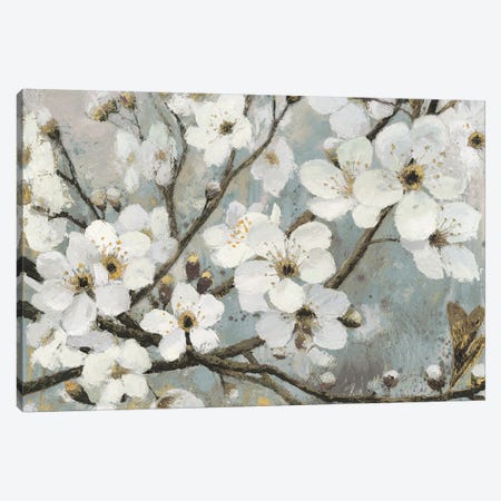 Cherry Blossoms I Canvas Print #WAC4426} by James Wiens Canvas Artwork