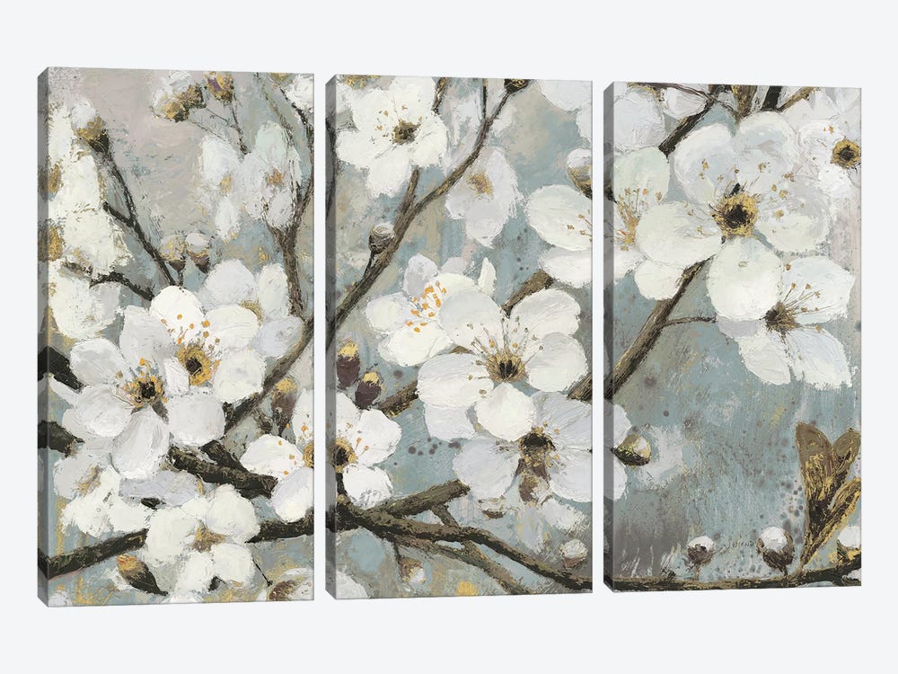 Cherry Blossoms I by James Wiens 3-piece Canvas Print