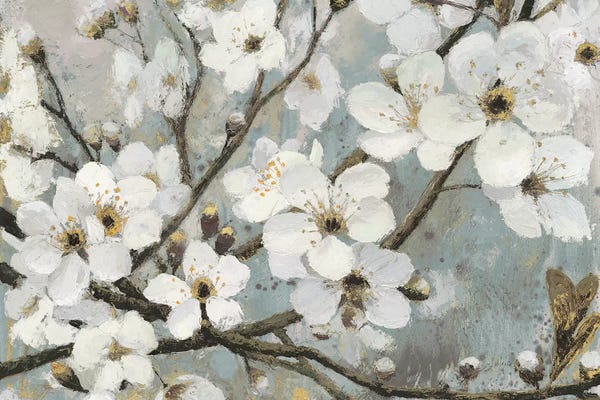 Cherry Trees