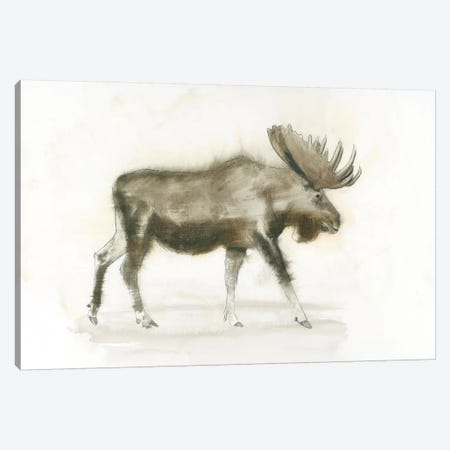 Dark Moose Canvas Print #WAC4427} by James Wiens Canvas Art