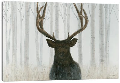 Into The Forest Canvas Art Print - Deer Art