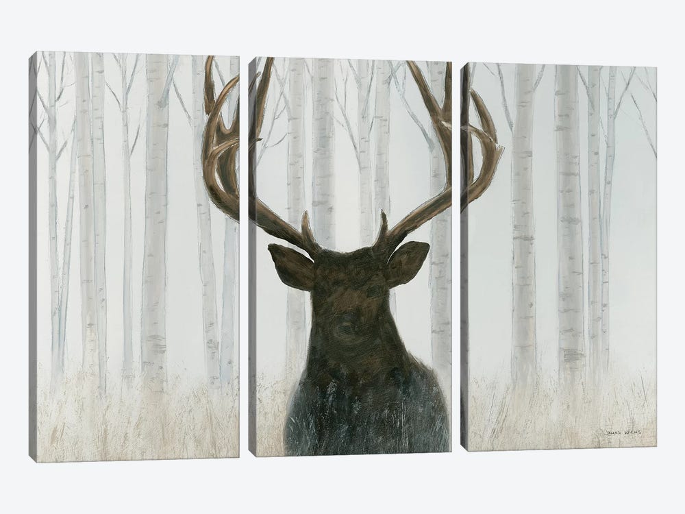 Into The Forest by James Wiens 3-piece Canvas Wall Art