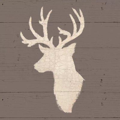 Rustic Elegance II by James Wiens multi panel art