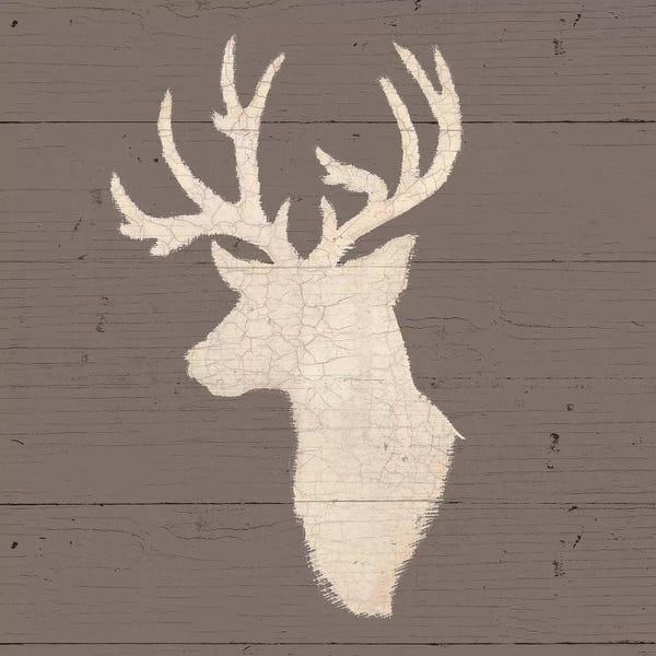 Antlers: Rustic Elegance II by James Wiens