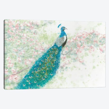 Spring Peacock I Pink Flowers Canvas Print #WAC4440} by James Wiens Canvas Art Print