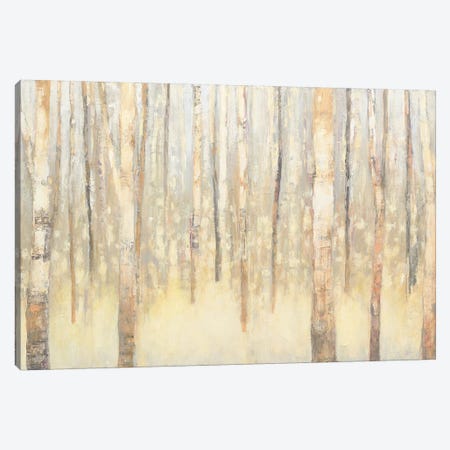 Birches In Winter I Canvas Print #WAC4447} by Julia Purinton Canvas Wall Art