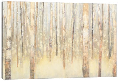 Birches In Winter I Canvas Art Print - Hallway Art