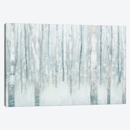Birches In Winter II Canvas Print #WAC4448} by Julia Purinton Art Print