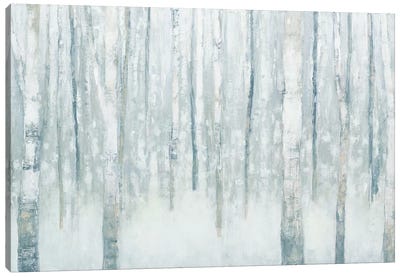 Birches In Winter II Canvas Art Print - Neutrals