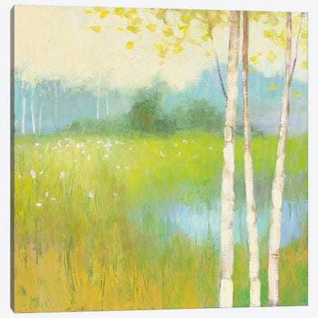 Spring Fling II Canvas Print #WAC4451} by Julia Purinton Canvas Artwork