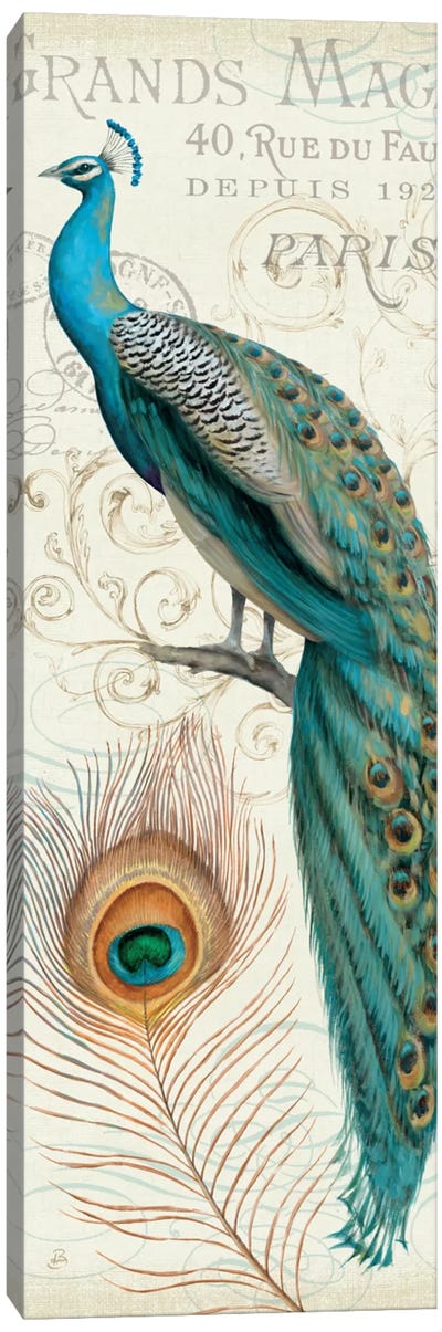 Majestic Beauty II P Canvas Art Print - Peacock Art