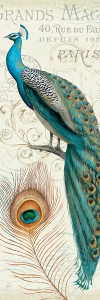 Peacocks: Majestic Beauty II P by Daphne Brissonnet