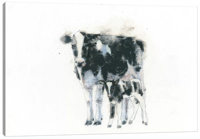 Cow And Calf Canvas Art Print - Emily Adams