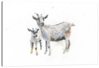 Goat And Kid Canvas Art Print - Emily Adams
