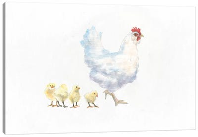 Hen And Chickens Canvas Art Print - Emily Adams