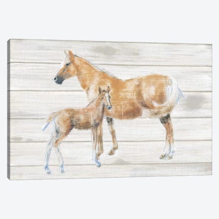 Horse And Colt On Wood Canvas Print #WAC4471} by Emily Adams Canvas Art