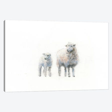 Sheep And Lamb Canvas Print #WAC4473} by Emily Adams Canvas Art