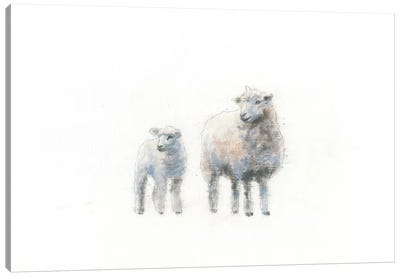 Sheep And Lamb Canvas Art Print - Emily Adams