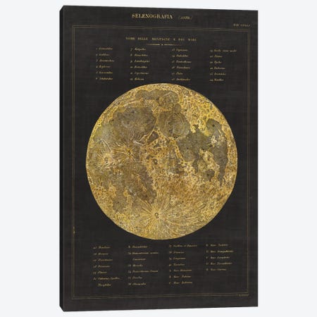 Astronomical Chart I Canvas Print #WAC4477} by Wild Apple Portfolio Art Print