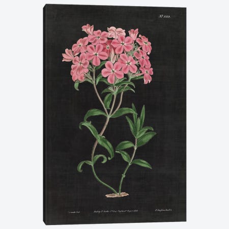 Botanical Chart VI Canvas Print #WAC4485} by Wild Apple Portfolio Canvas Artwork